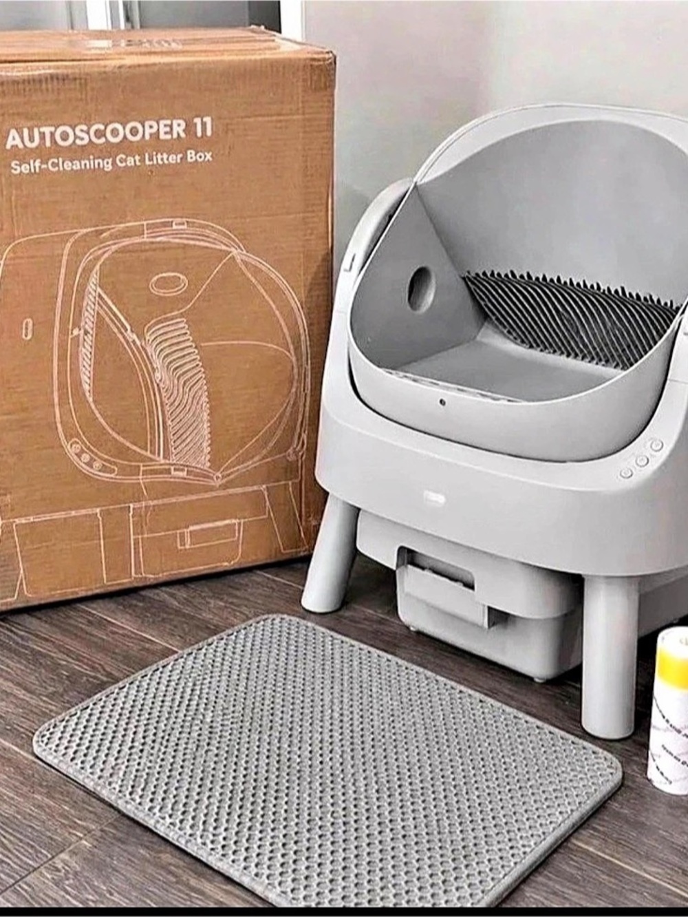 11 Self-Cleaning Cat Litter